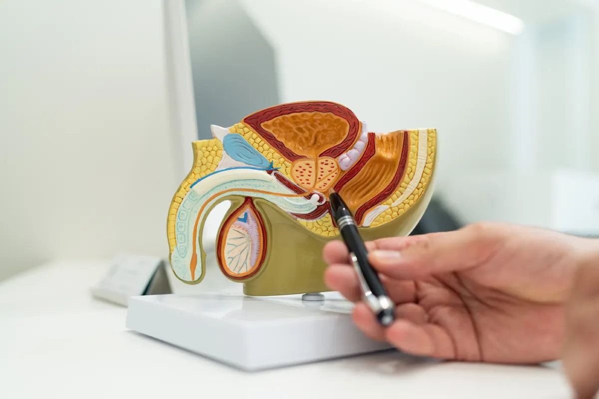 Tratamientos de urología y andrología